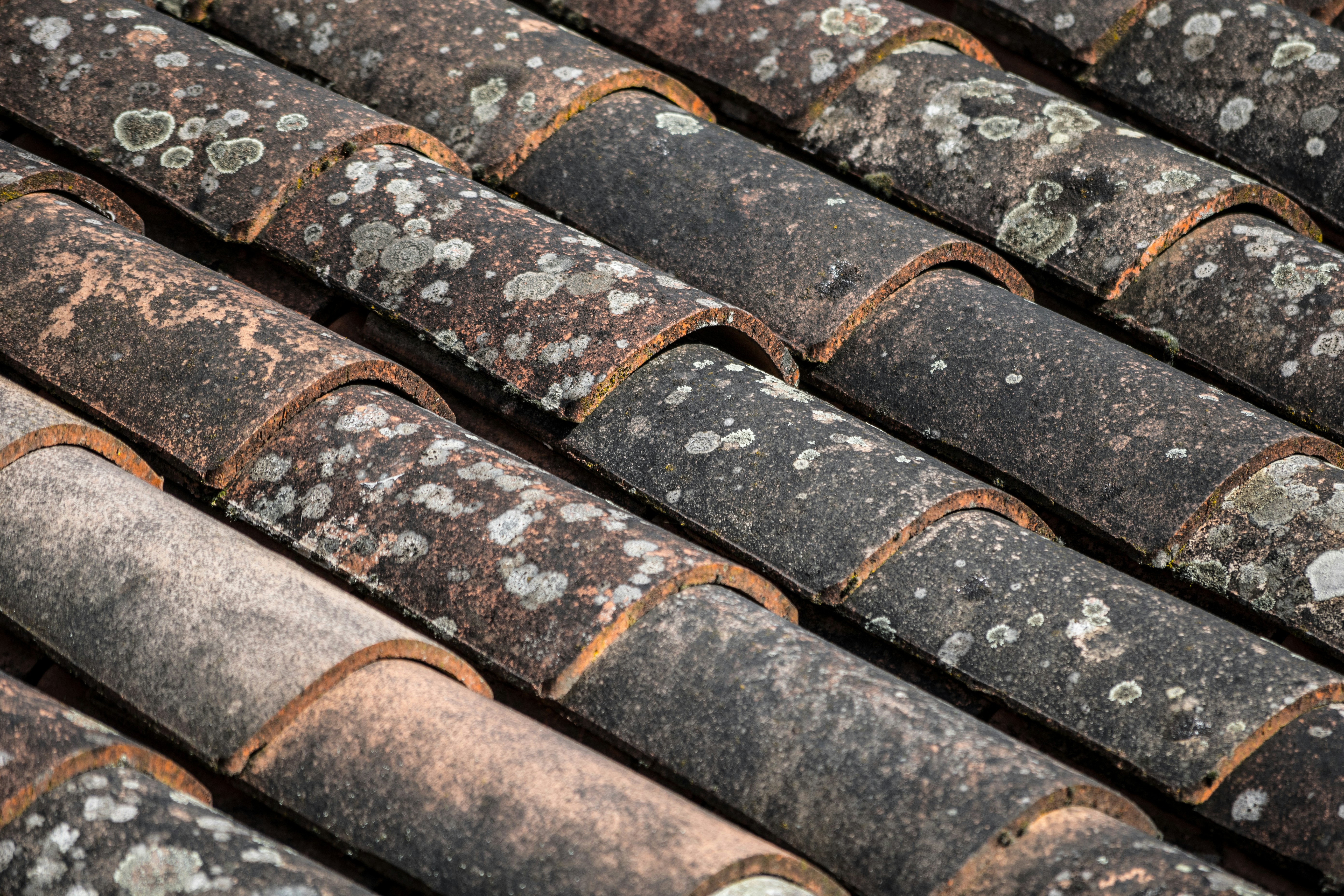 A close-up of roof tiles